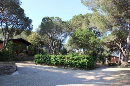 Camping Lacona Pineta