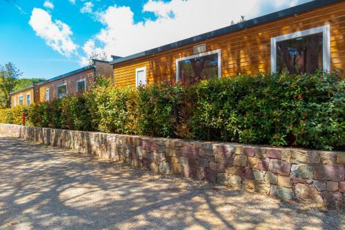 Camping Lacona Pineta