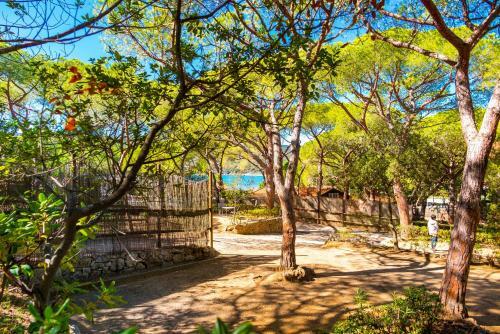 Camping Lacona Pineta