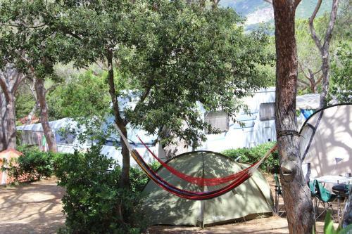Camping Lacona Pineta