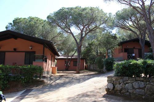 Camping Lacona Pineta