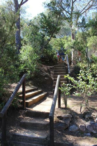 Camping Lacona Pineta