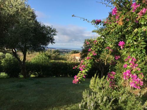B&B Villa Kuky