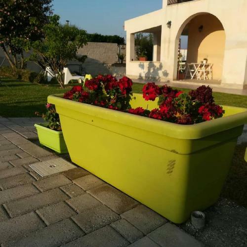 Bed & Breakfast La Casa Delle Farfalle