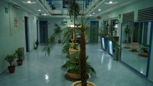 Hotel Muy - Adults-only