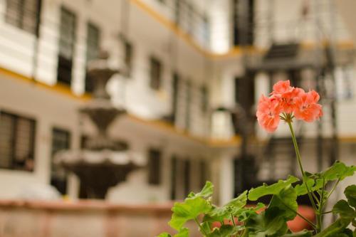 Cinco De Mayo Hotel