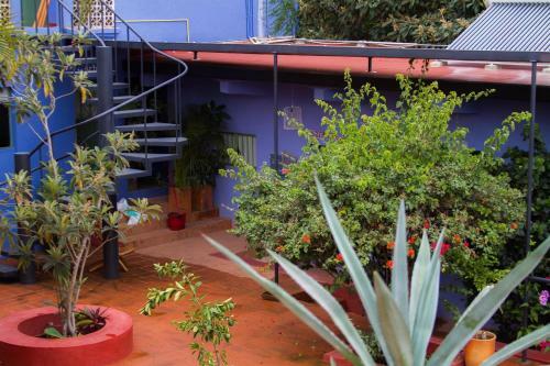 Bed & Breakfast Boca Del Monte By Diablo Y La Sandia