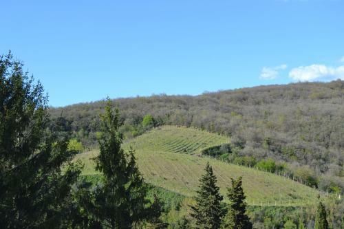 Agroturismo Fattoria Castelvecchi