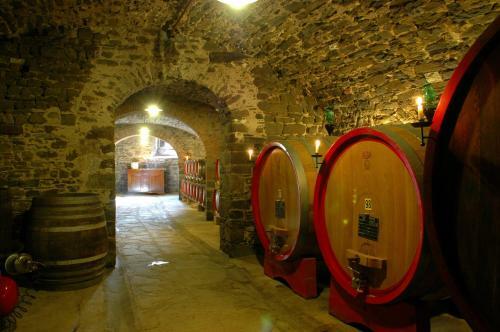 Agroturismo Fattoria Castelvecchi