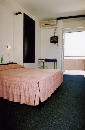 Hotel Metropol