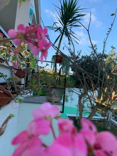 B&B A Casa Di Picci