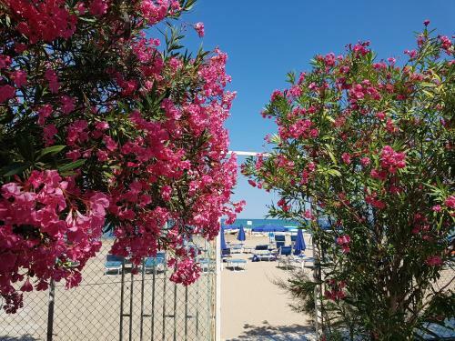 Hotel Gabbiano Beach