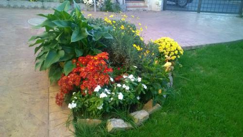 Bed And Breakfast Angolo Fiorito