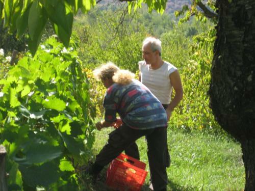 Apartamento Giardino Di Potentino
