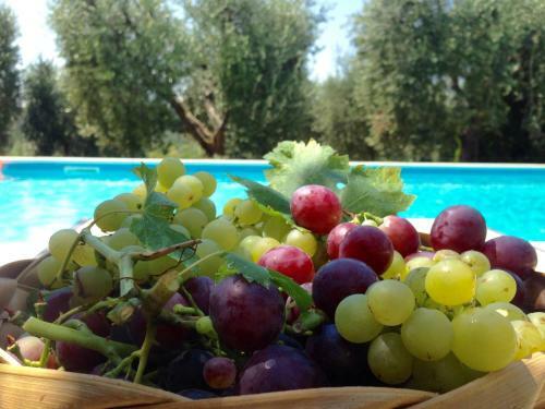 Villa Agriturismo Podere Giuncarelli