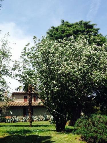 Villa Agriturismo Podere Giuncarelli