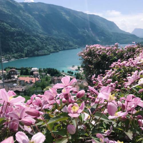 Apartamento Villa Gardenia Molveno