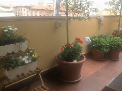 B&B Dei Cavalieri