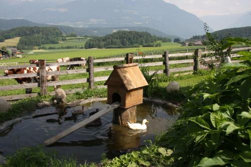 Agroturismo Mair Am Hof