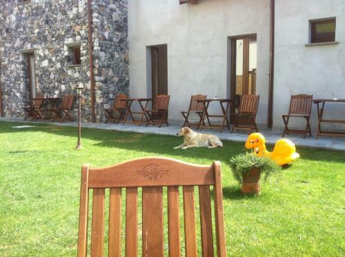 Bed & Breakfast Il Casale Del Giglio