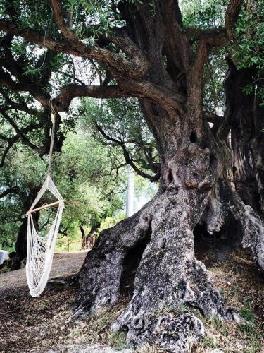 Hostal Il Paradiso Di Hyele