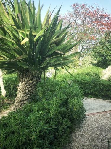 Apartamento Villa Margherita
