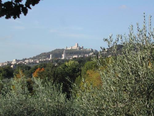 Agroturismo Villa Rosy