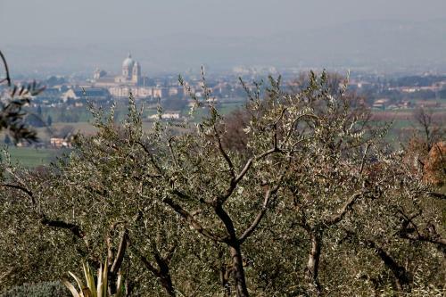 Agroturismo Villa Rosy