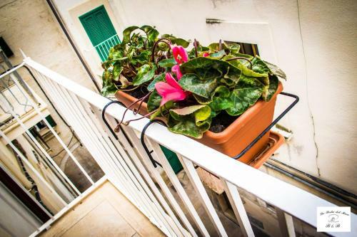 Bed & Breakfast La Perla Del Mare