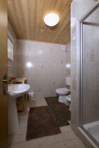 Apartamento Ciasa Ag�