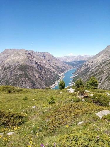 Apartamento Baita Stella Alpina