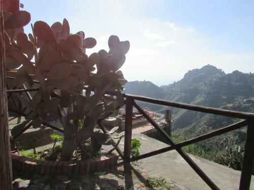 Agroturismo Rifugio Dei Tre Pini