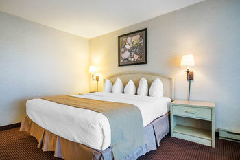 Hotel Quality Resort Bayside - Standard Cb