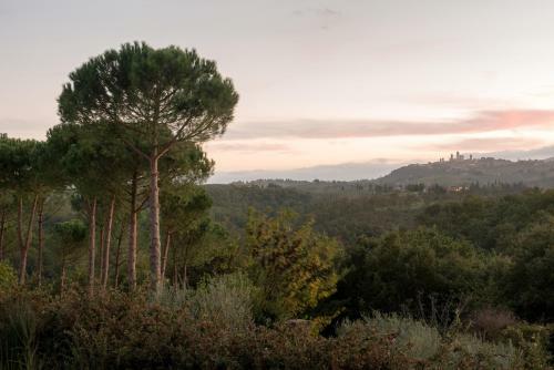 Agroturismo Il Coltro