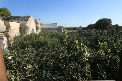 Bed & Breakfast Masseria Pittore