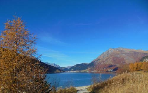 Apartamento Residence Alpin