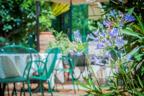 Aparthotel Hotel Costazzurra