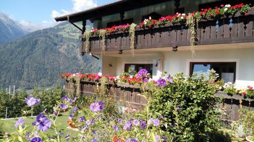 Hostal Zimmervermietung Gr�berhof