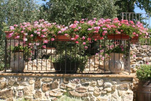 Agroturismo Villa Santa Maria
