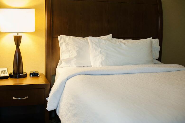 Hotel Holiday Inn Buffalo Downtown