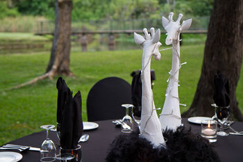 Hotel Zambezi Sun