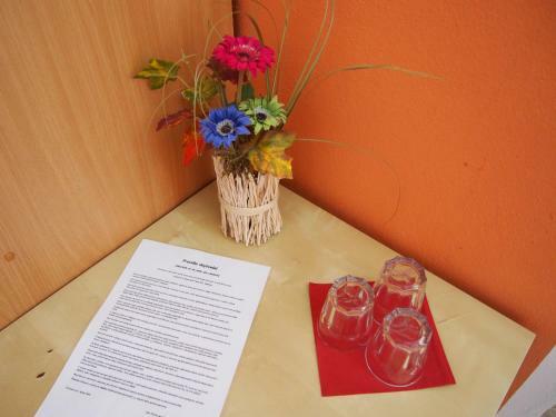 Hostal Penzion U Ivana