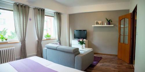 Hostal Penzion Star� Louny