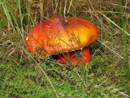 Apartm�ny Na N�m?st�