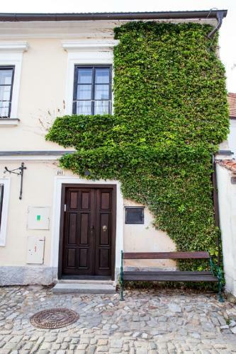 Hostal Pension Premium