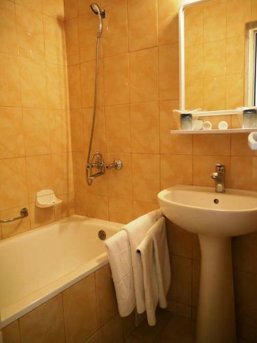 Hotel Ovidiu