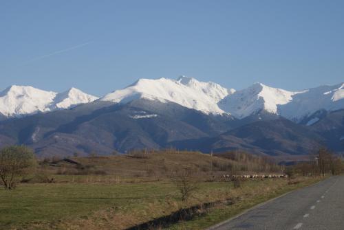 Hostal Casa Porumbacu 295