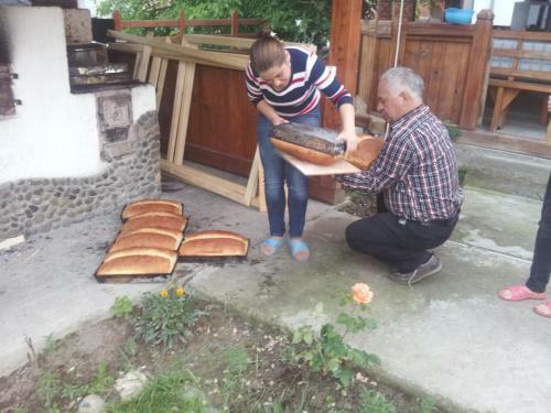 Hostal Pensiunea Teodora Teleptean