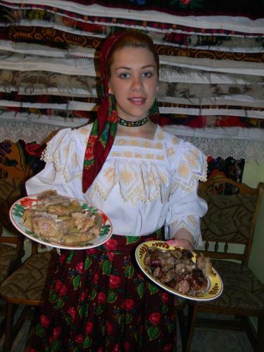Hostal Pensiunea Teodora Teleptean