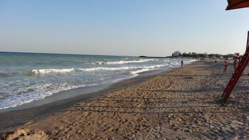 Hostal Vila Calypso Costinesti